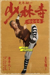 Rising Shaolin The Protector (2021) Hindi Dubbed